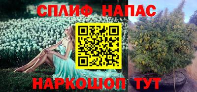 стафф Усть-Илимск