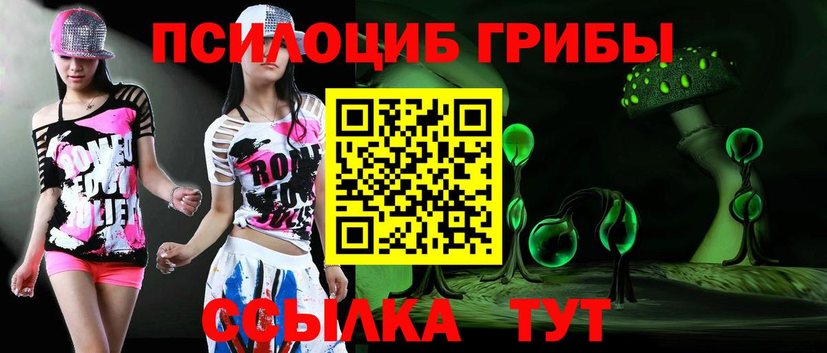 Галлюциногенные грибы Cubensis Будённовск