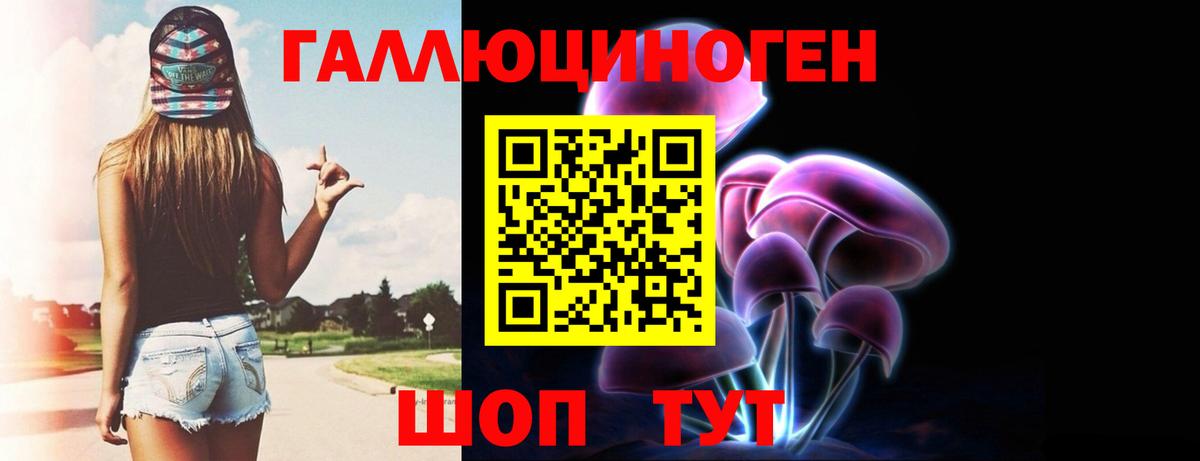 Псилоцибиновые грибы Psilocybine cubensis  Вход с VPN  Будённовск 