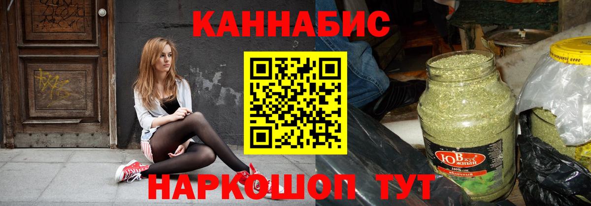 Шишки марихуана план Будённовск